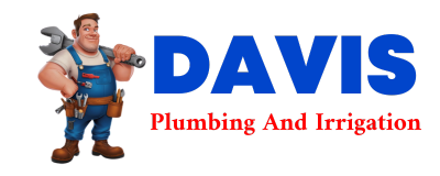 Trusted plumber in MEROM